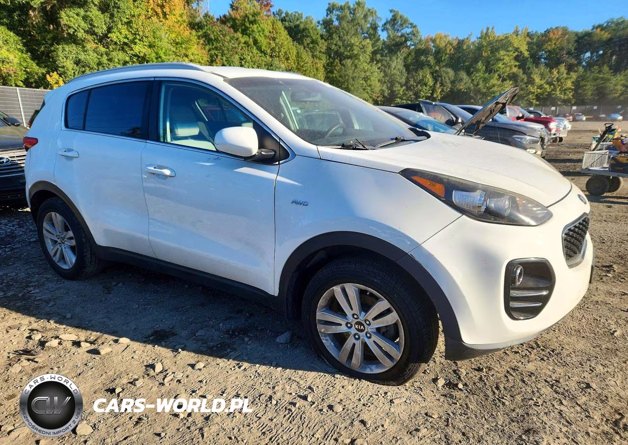 2017 Kia Sportage Lx VIN:KNDPMCAC9H7231236 - 4