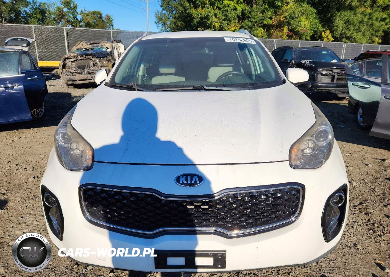 2017 Kia Sportage Lx VIN:KNDPMCAC9H7231236 - 5