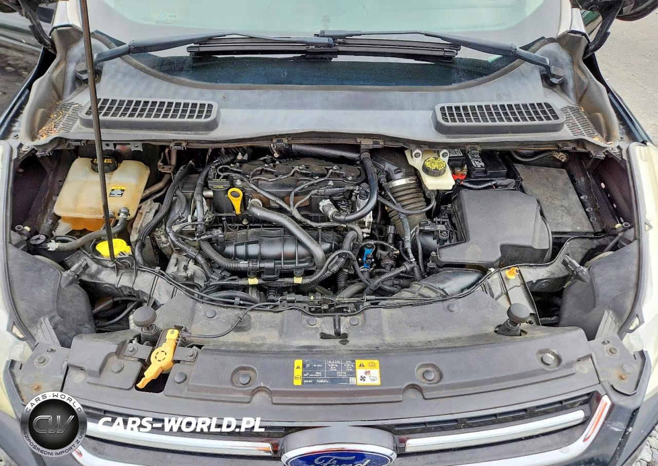 2013 Ford Escape Sel VIN:1FMCU0HX2DUA87994 - 12