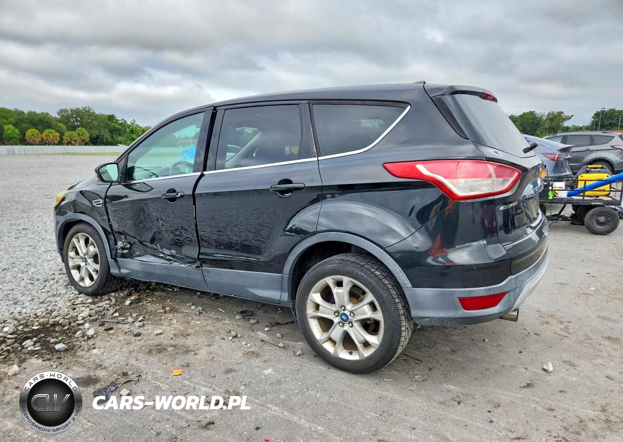 2013 Ford Escape Sel VIN:1FMCU0HX2DUA87994 - 2