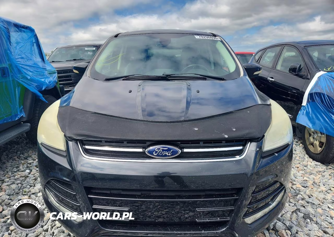 2013 Ford Escape Sel VIN:1FMCU0HX2DUA87994 - 5