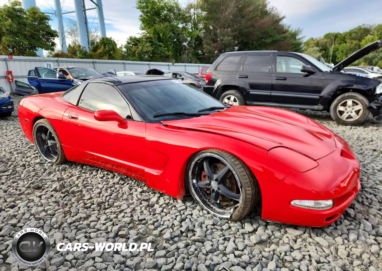 1997 Chevrolet Corvette VIN:1G1YY22G9V5108251 - 4