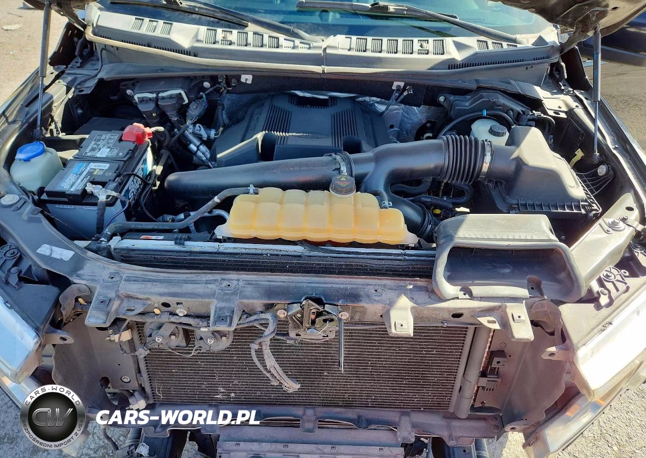 2019 Ford F150 Supercrew VIN:1FTEW1E49KKC60572 - 11