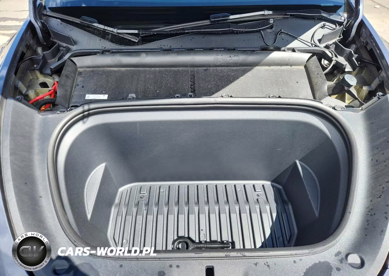 2023 Tesla Model Y VIN:7SAYGDEE8PA150136 - 12