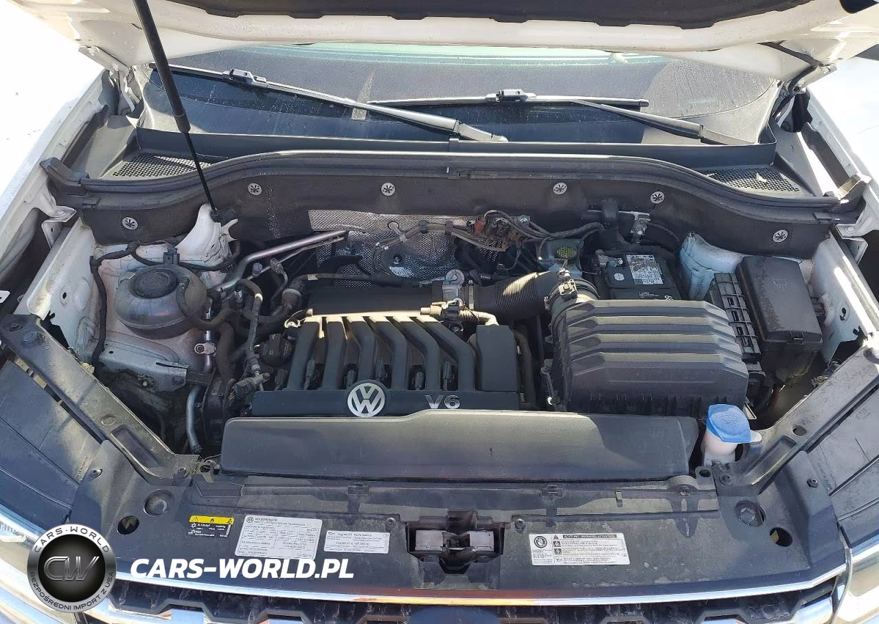 2019 Volkswagen Atlas Se VIN:1V2WR2CA7KC554393 - 12
