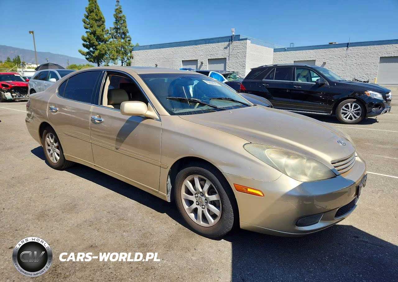 2002 Lexus Es 300 VIN:JTHBF30GX20057460 - 4