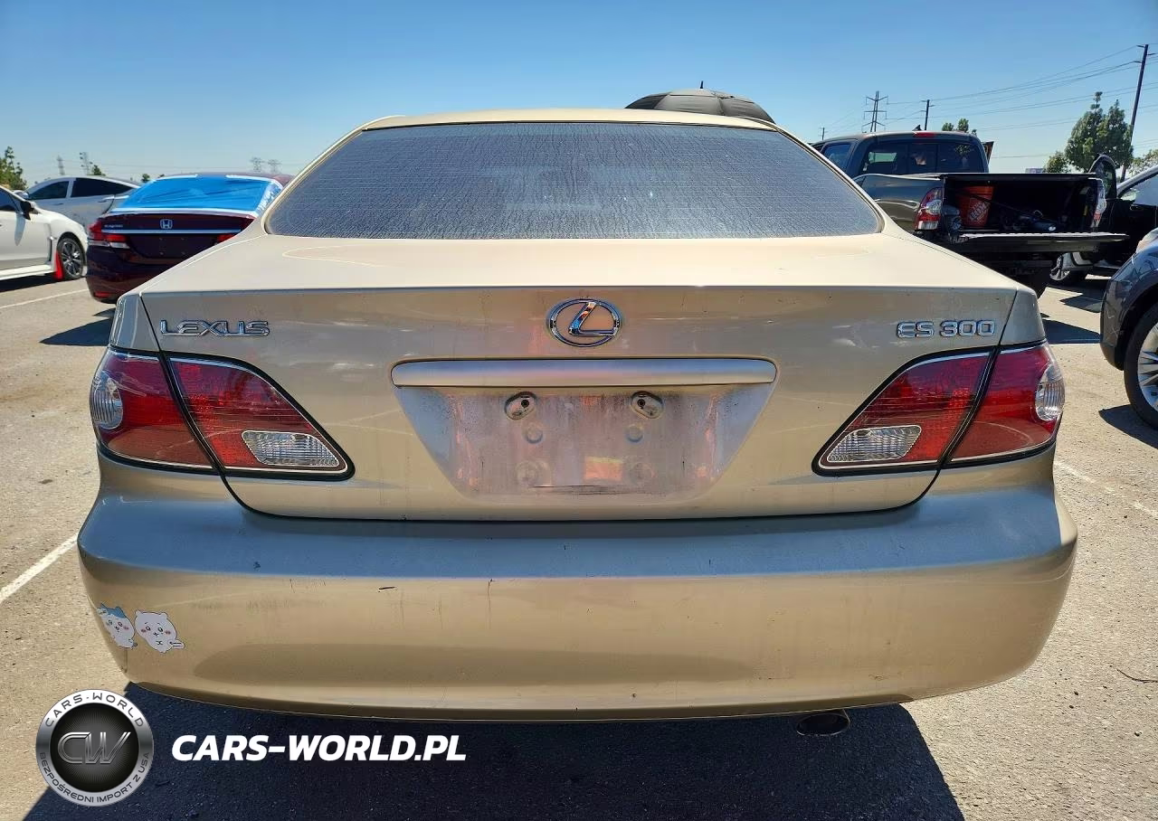 2002 Lexus Es 300 VIN:JTHBF30GX20057460 - 6