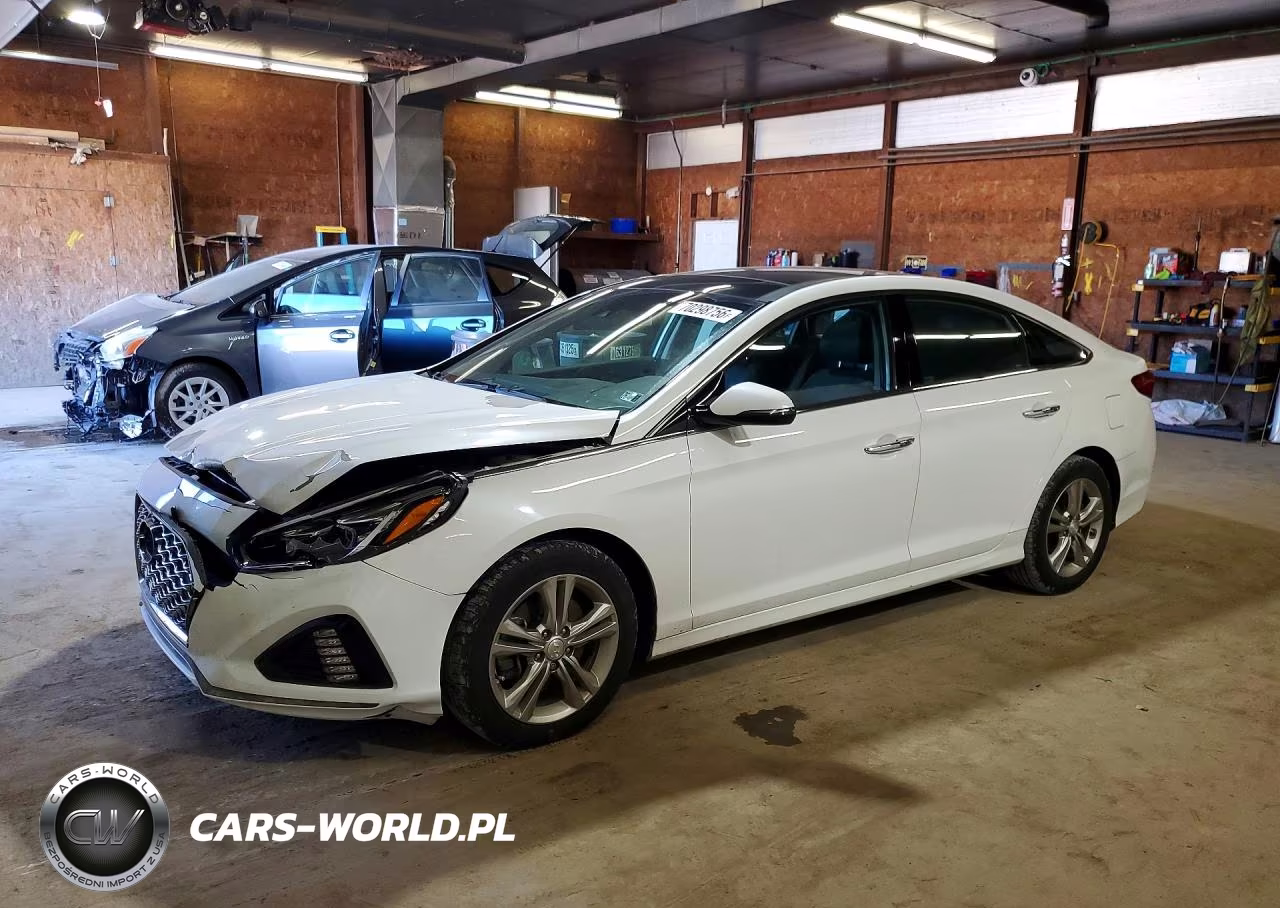 2019 Hyundai Sonata Limited VIN:5NPE34AF4KH793154 - 1