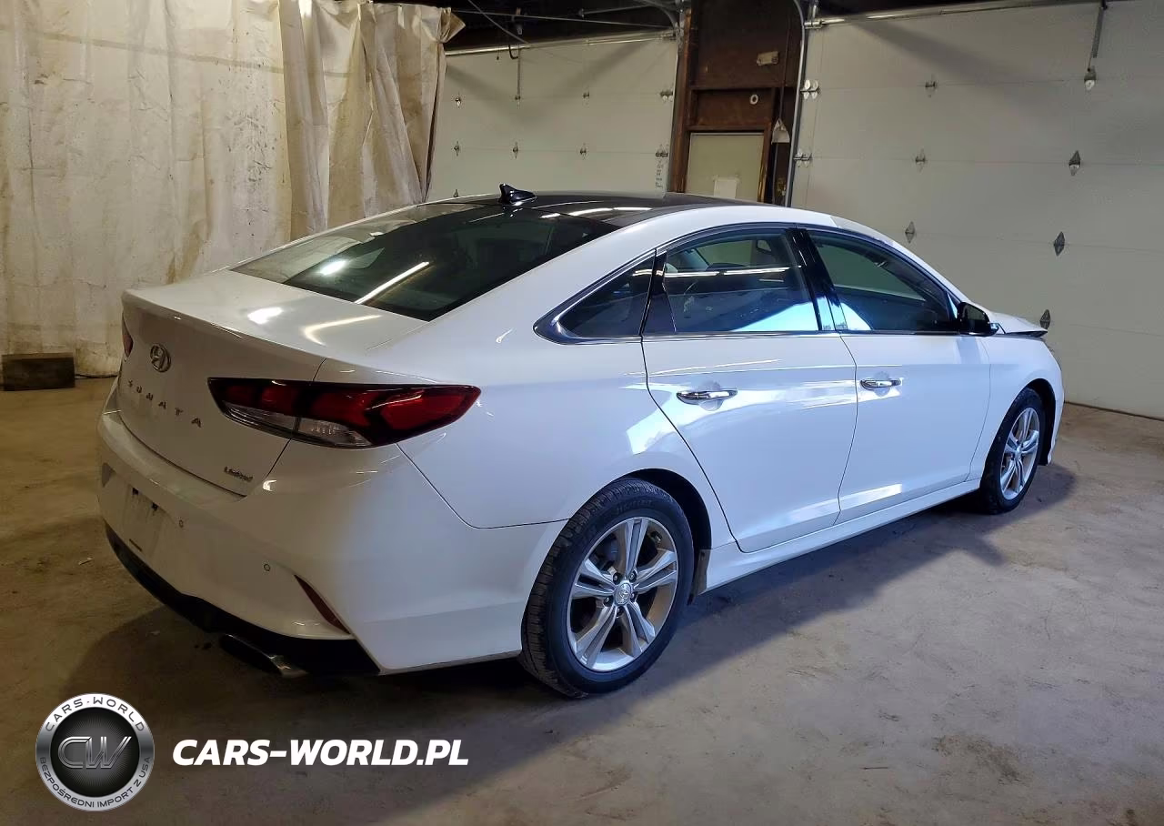 2019 Hyundai Sonata Limited VIN:5NPE34AF4KH793154 - 3