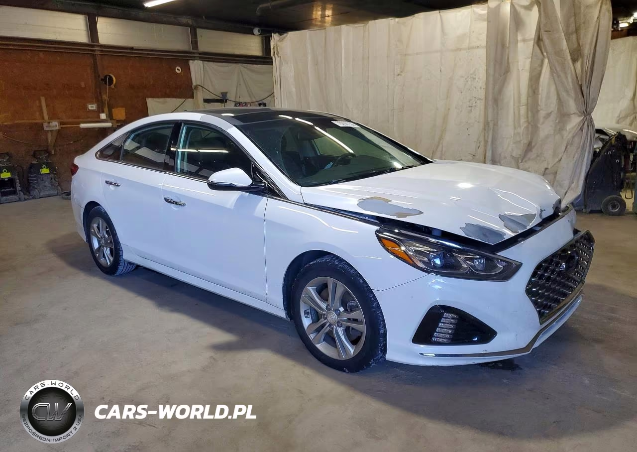 2019 Hyundai Sonata Limited VIN:5NPE34AF4KH793154 - 4