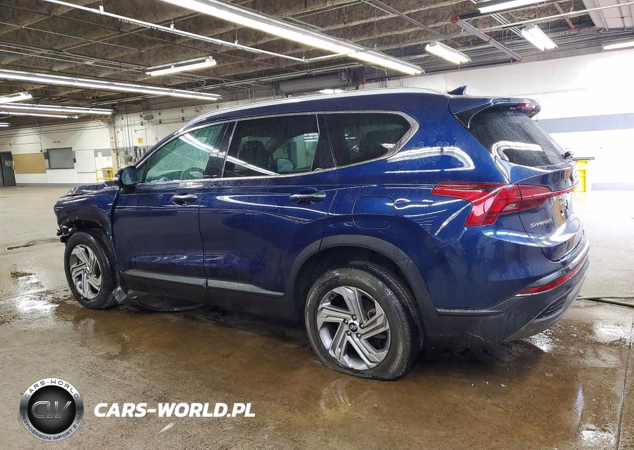 2023 Hyundai Santa Fe Sel VIN:5NMS24AJ2PH542261 - 2