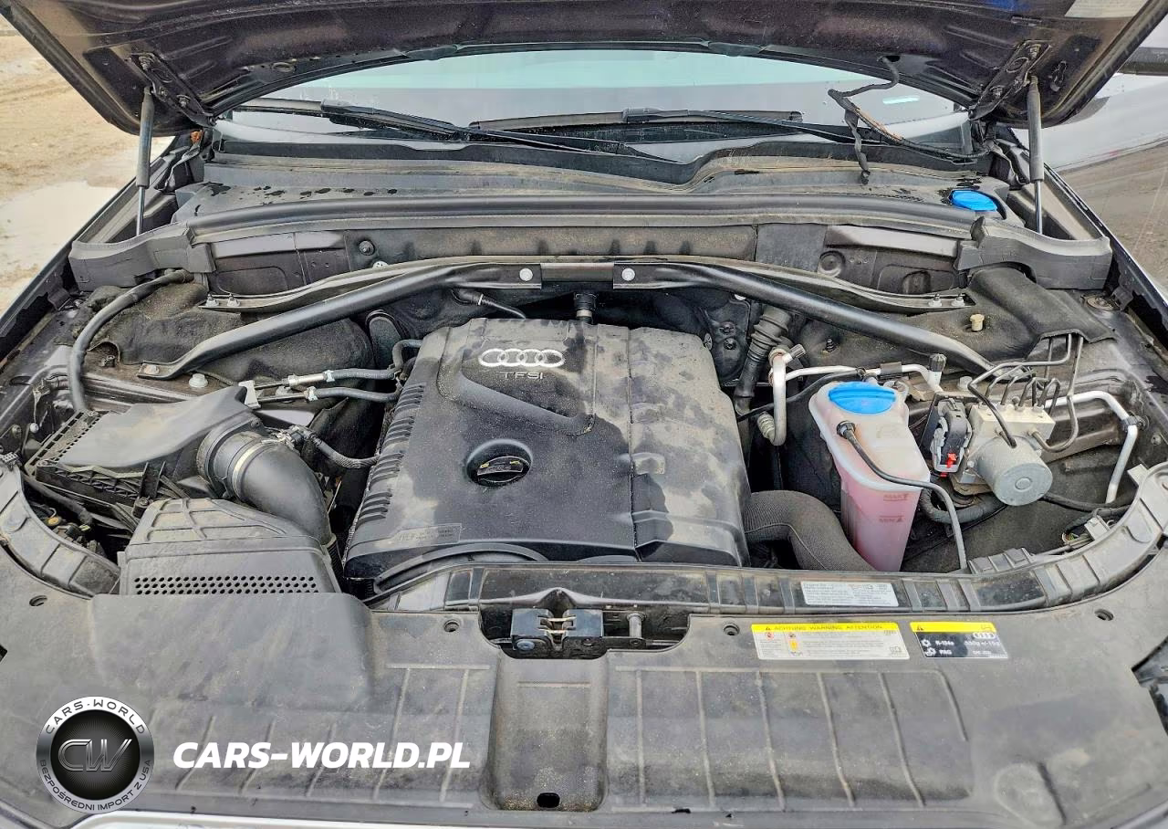 2014 Audi Q5 Premium Plus VIN:WA1LFAFP2EA101140 - 12