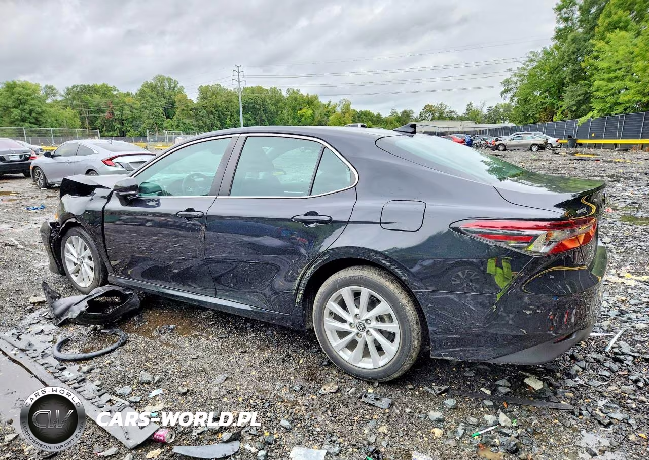 2021 Toyota Camry Le VIN:4T1C11BKXMU021804 - 2