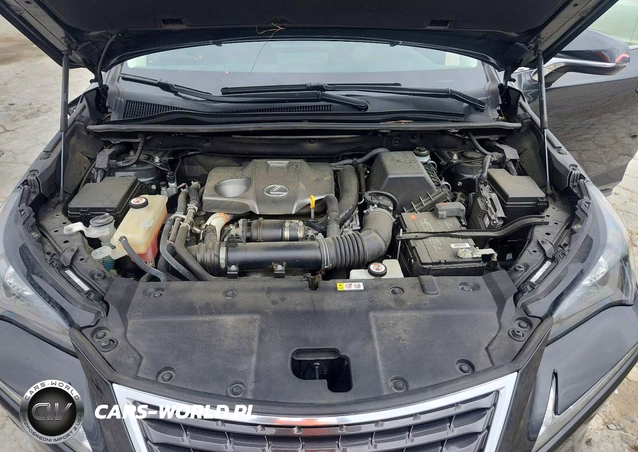 2021 Lexus Nx 300 Base VIN:JTJDARBZXM2188290 - 12