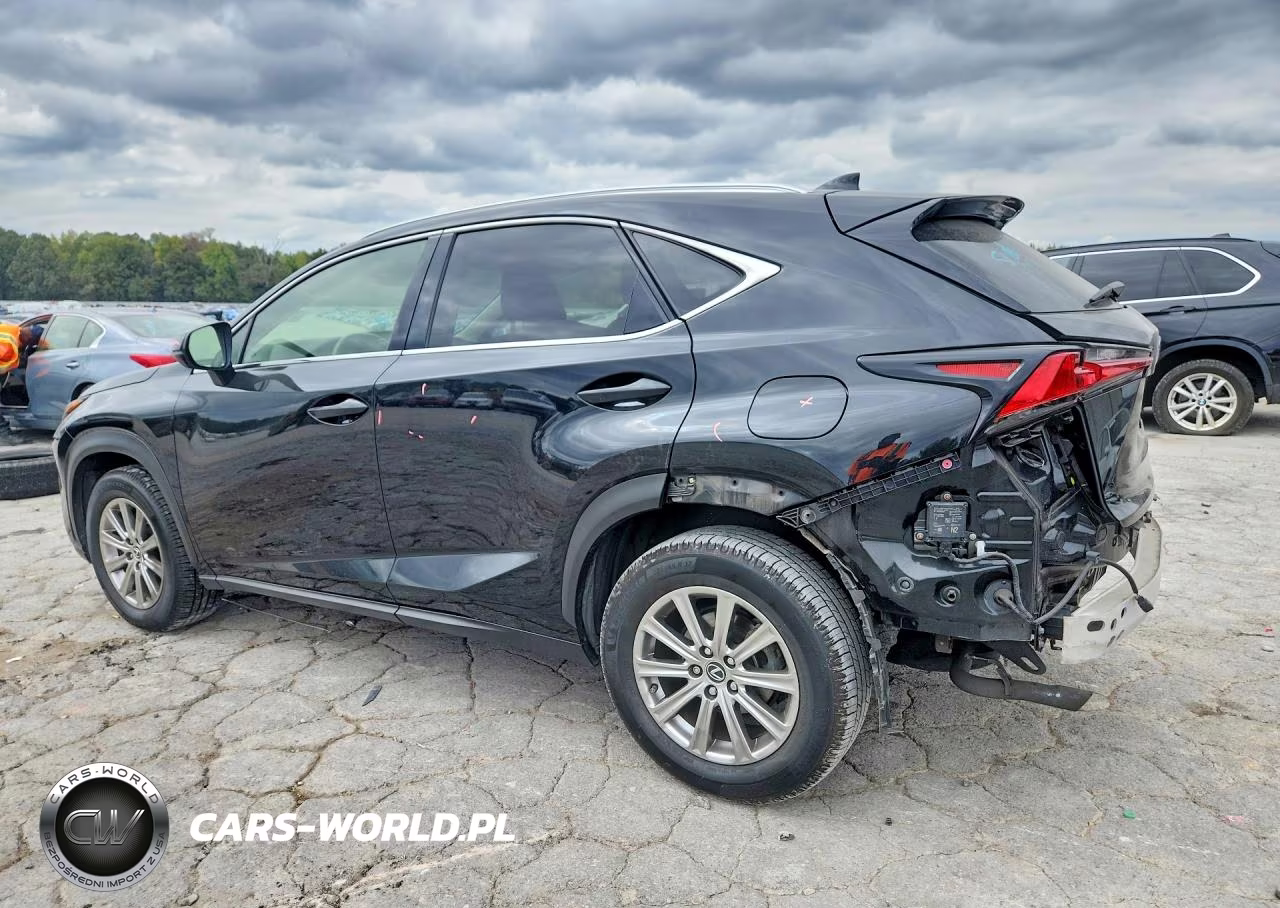 2021 Lexus Nx 300 Base VIN:JTJDARBZXM2188290 - 2