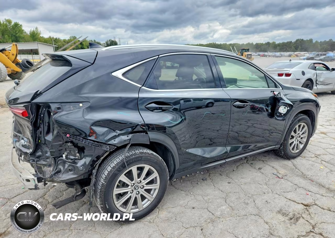 2021 Lexus Nx 300 Base VIN:JTJDARBZXM2188290 - 3