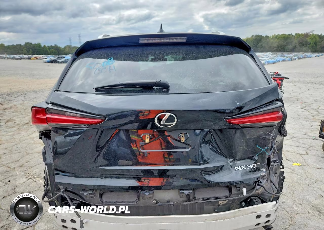 2021 Lexus Nx 300 Base VIN:JTJDARBZXM2188290 - 6
