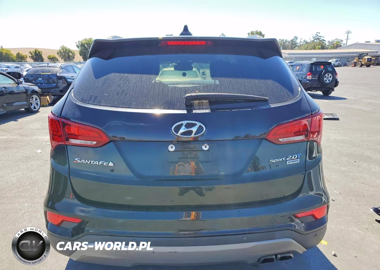 2017 Hyundai Santa Fe Sport 2.0T Ultimate VIN:5XYZW4LA0HG455941 - 6