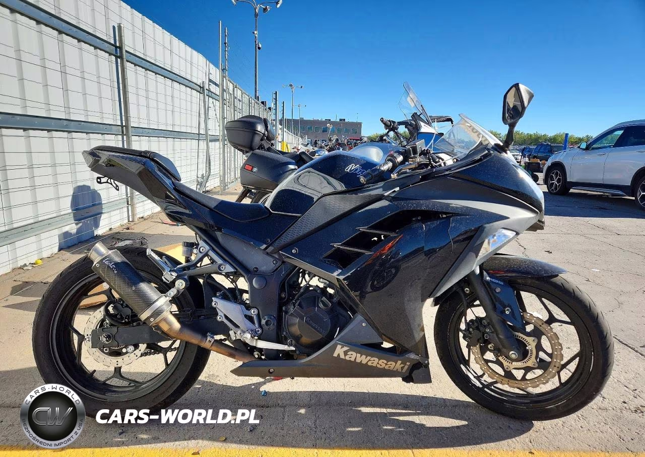 2014 Kawasaki Ex300 B