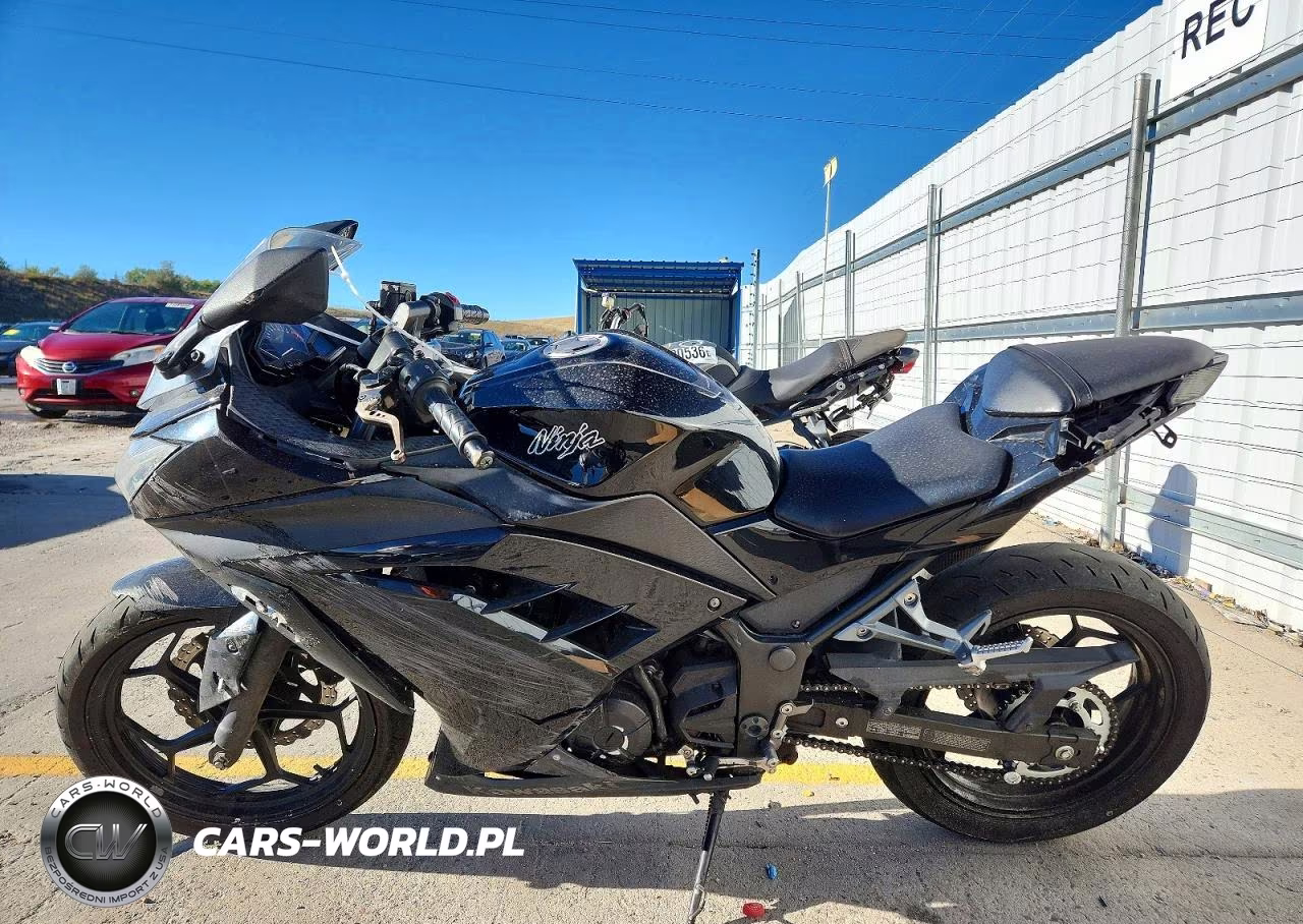 2014 Kawasaki Ex300 B VIN:JKAEX8B17EDA06123 - 3