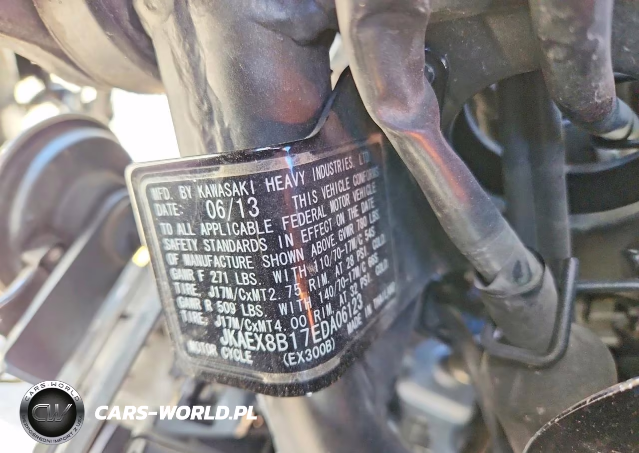 2014 Kawasaki Ex300 B VIN:JKAEX8B17EDA06123 - 9