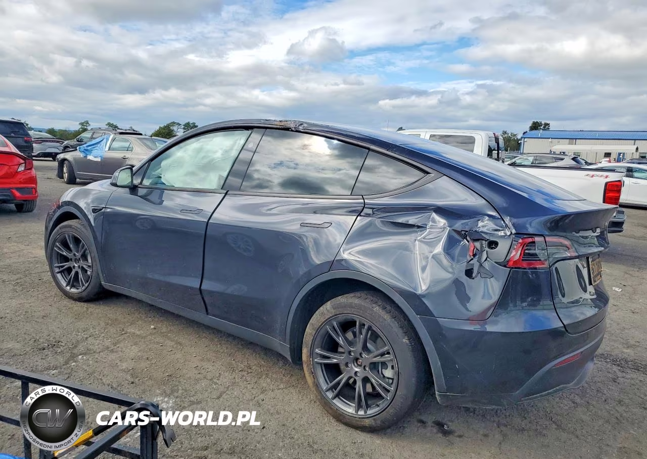 2024 Tesla Model Y VIN:7SAYGDED6RF206765 - 2