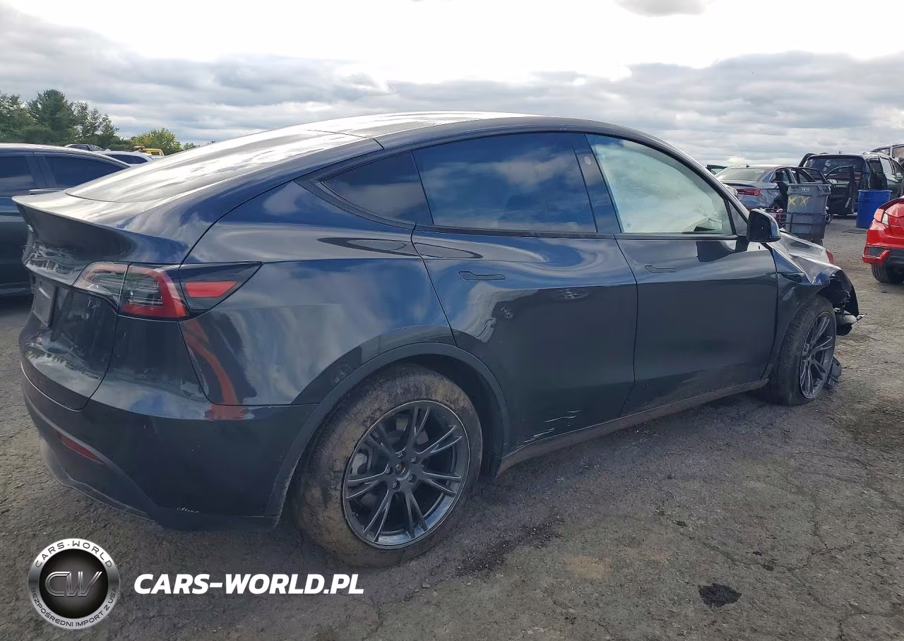 2024 Tesla Model Y VIN:7SAYGDED6RF206765 - 3