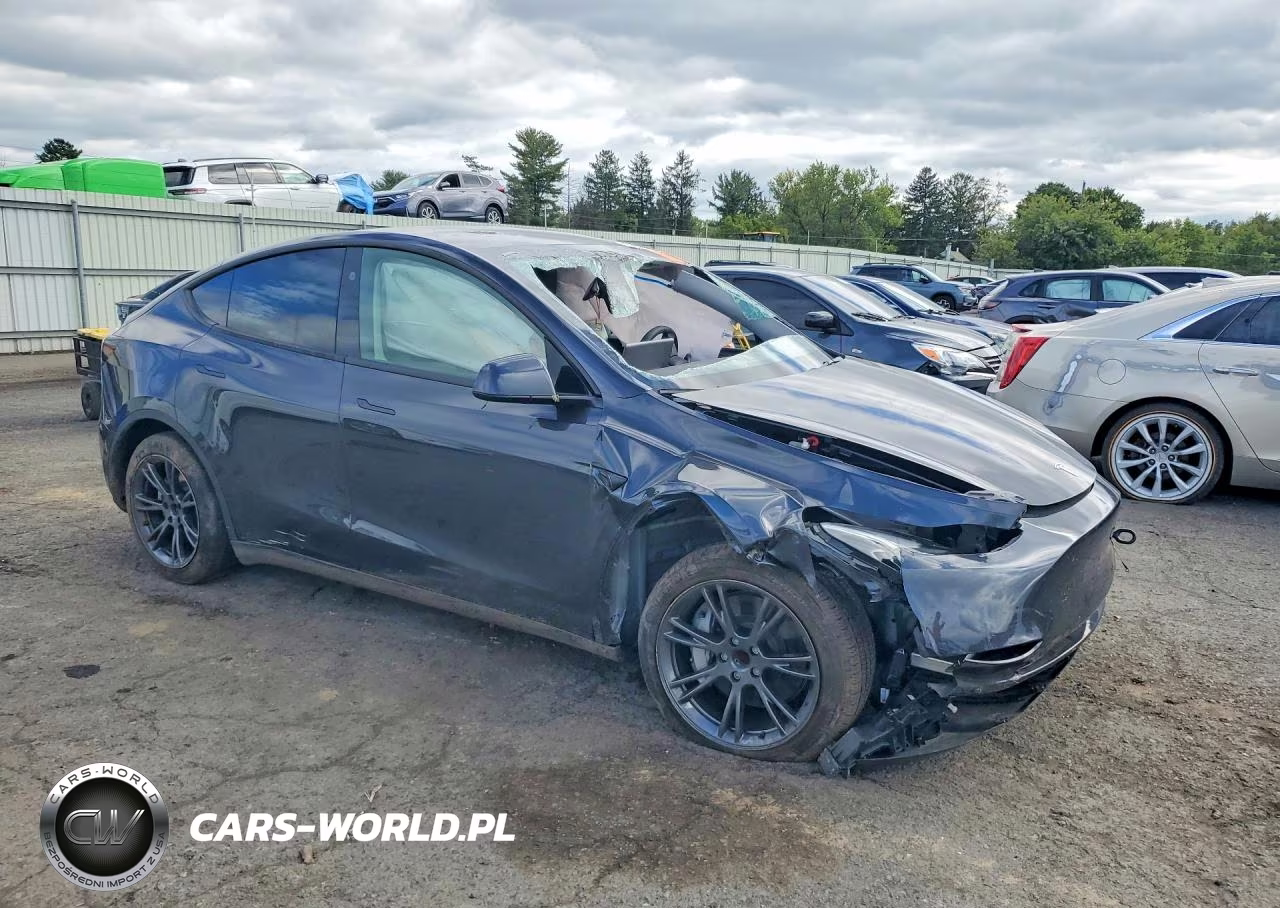 2024 Tesla Model Y VIN:7SAYGDED6RF206765 - 4