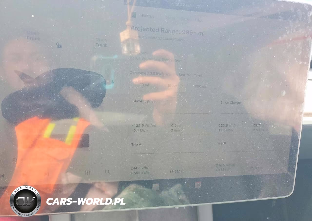 2024 Tesla Model Y VIN:7SAYGDED6RF206765 - 9