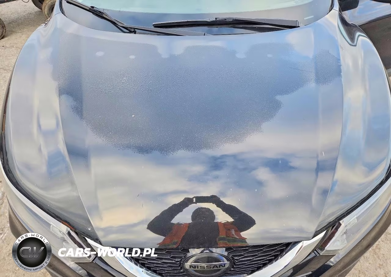 2020 Nissan Rogue Sport Sv VIN:JN1BJ1CW4LW646285 - 12