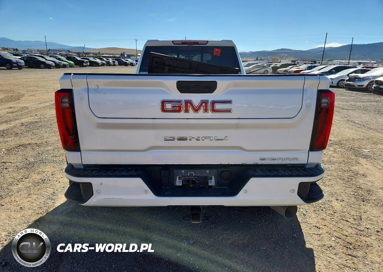 2024 GMC Sierra K3500 Denali VIN:1GT49WEY5RF113848 - 6