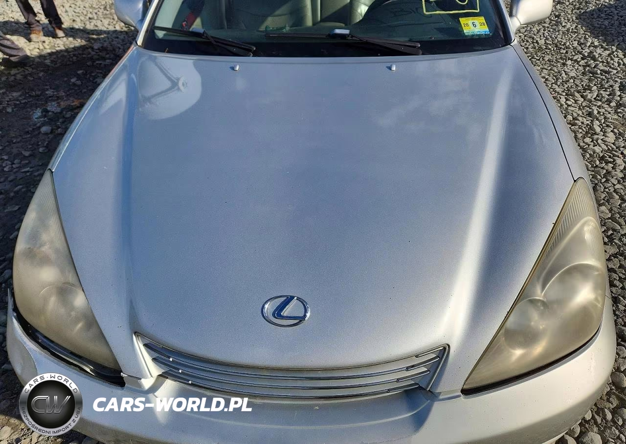 2003 Lexus Es 300 VIN:JTHBF30G830100212 - 11
