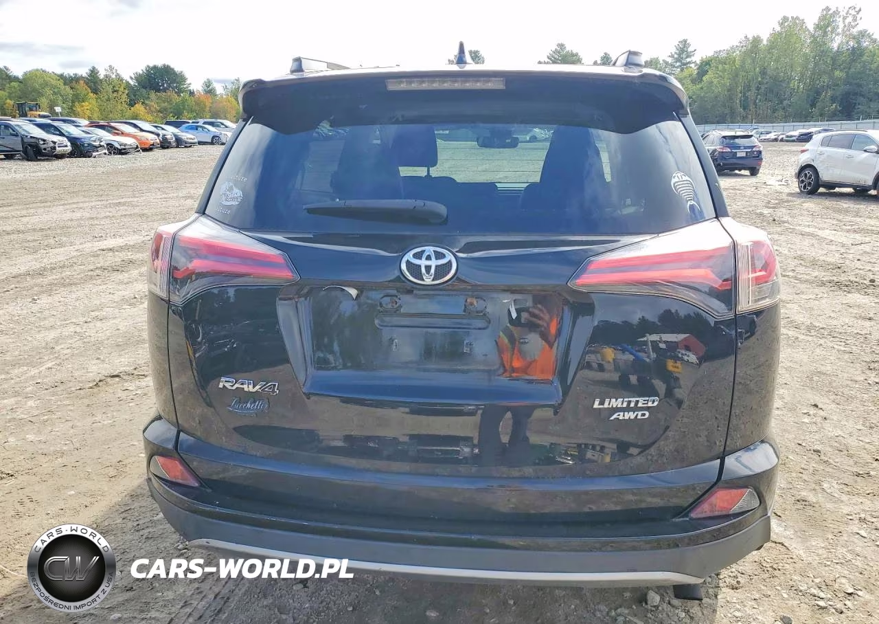 2018 Toyota Rav4 Limited VIN:2T3DFREV4JW763032 - 6