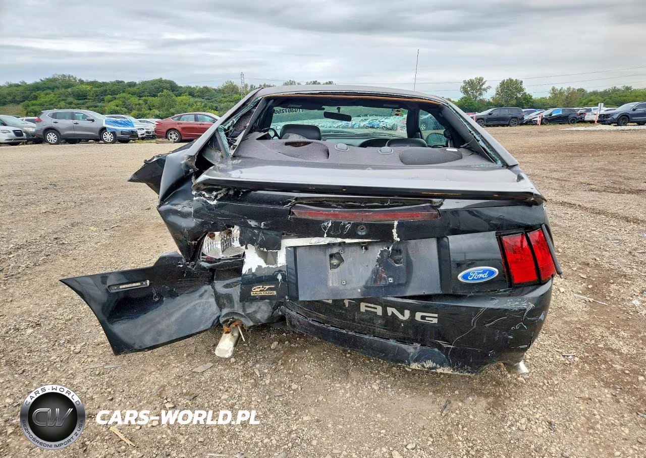2003 Ford Mustang Gt VIN:1FAFP42X23F443118 - 6