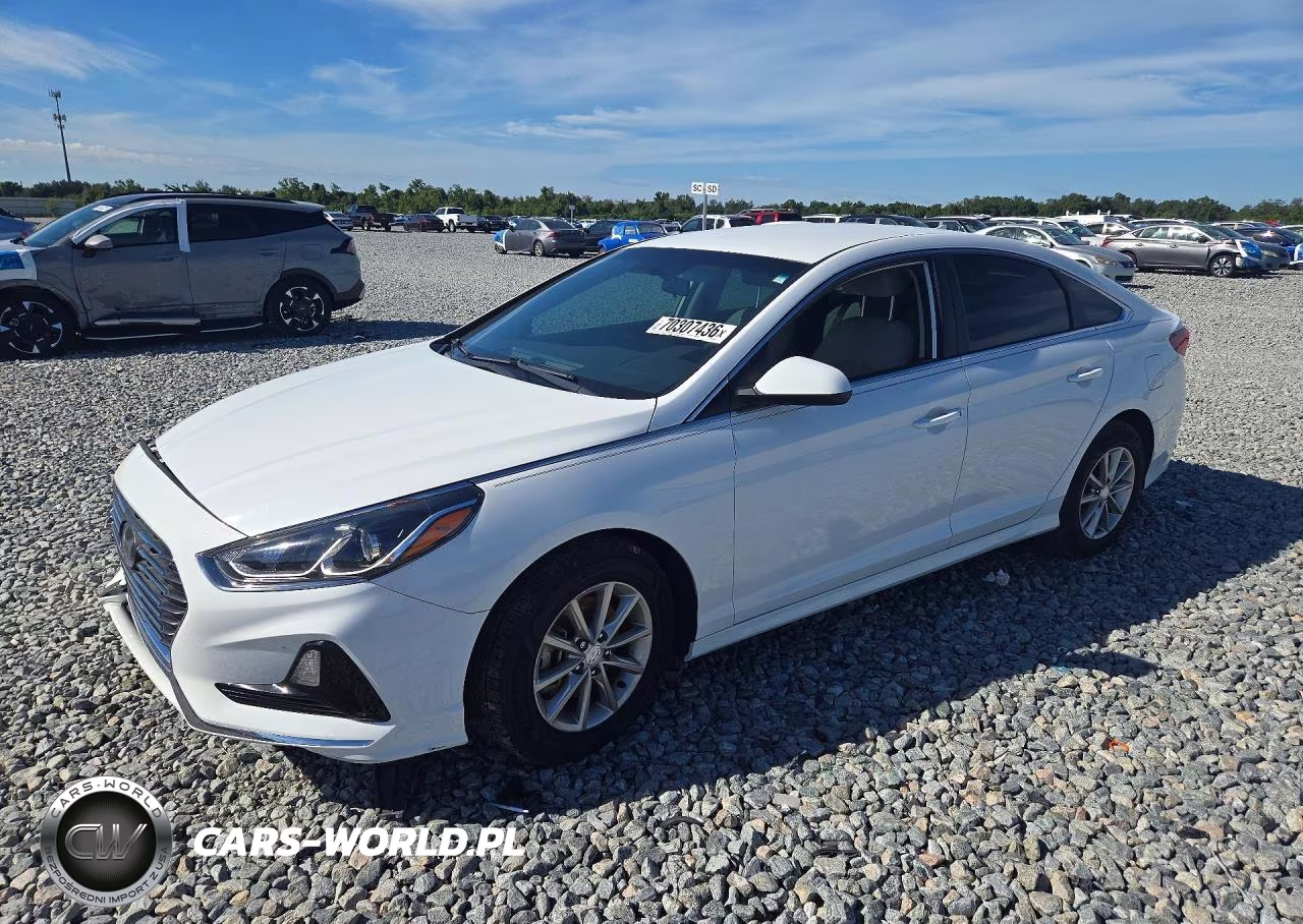 2019 Hyundai Sonata Se VIN:5NPE24AF7KH819474 - 1