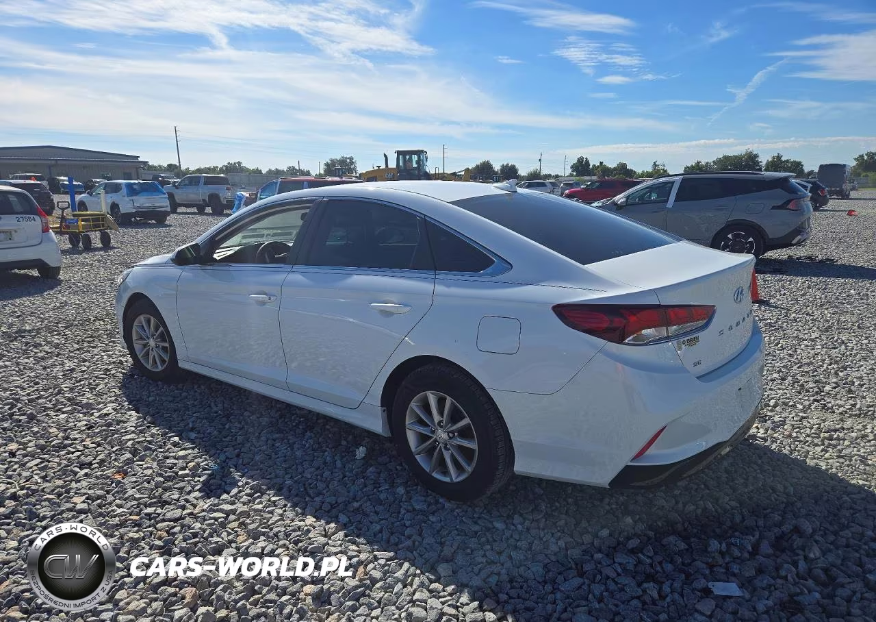 2019 Hyundai Sonata Se VIN:5NPE24AF7KH819474 - 2