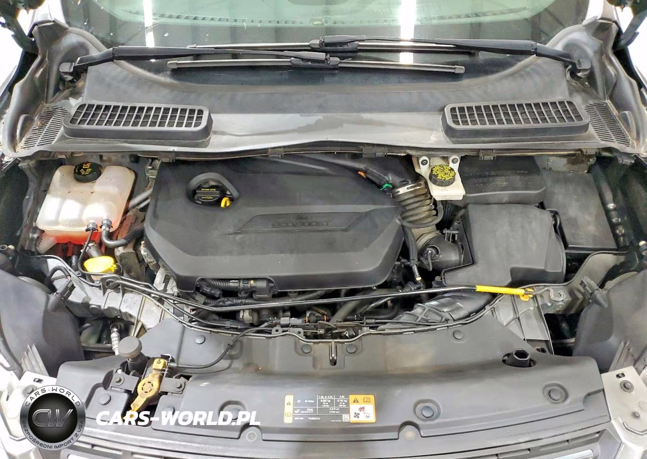 2014 Ford Escape Se VIN:1FMCU9GX9EUC97046 - 12