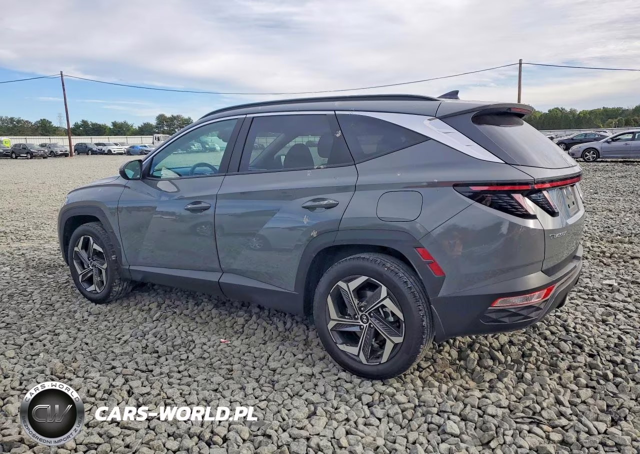 2024 Hyundai Tucson Sel VIN:5NMJFCDE8RH377215 - 2