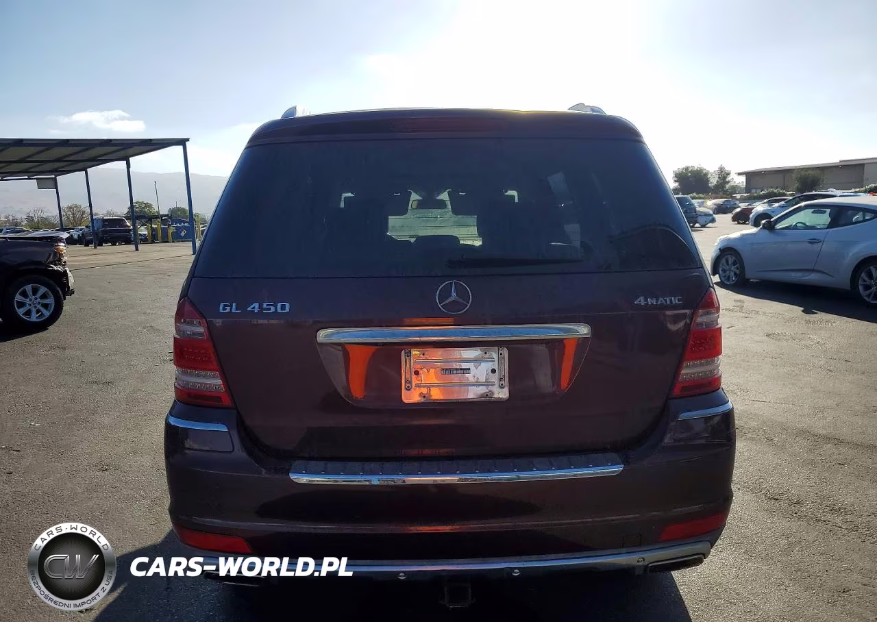 2010 Mercedes-Benz Gl 450 4Matic VIN:4JGBF7BE6AA609173 - 6