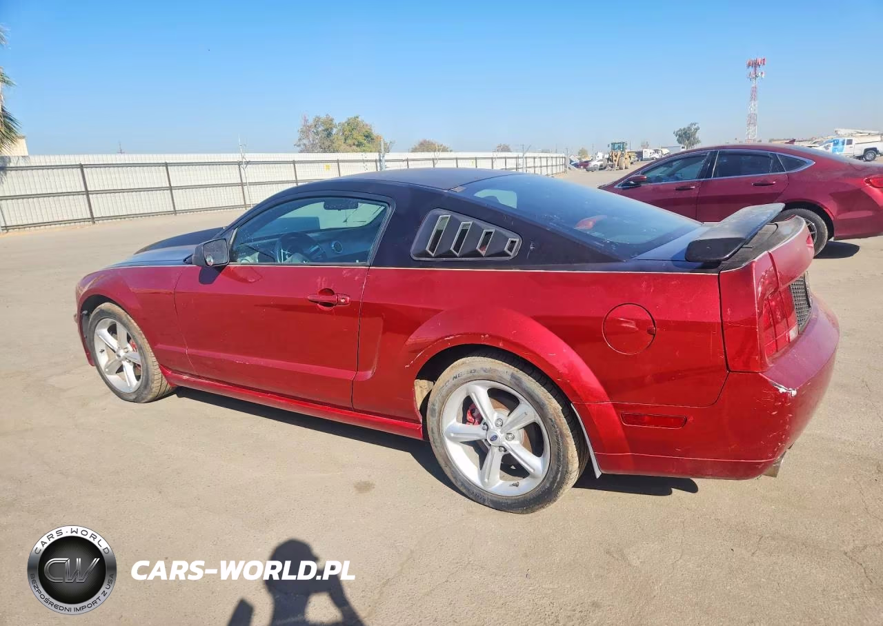 2005 Ford Mustang Gt VIN:1ZVFT82H455131975 - 2