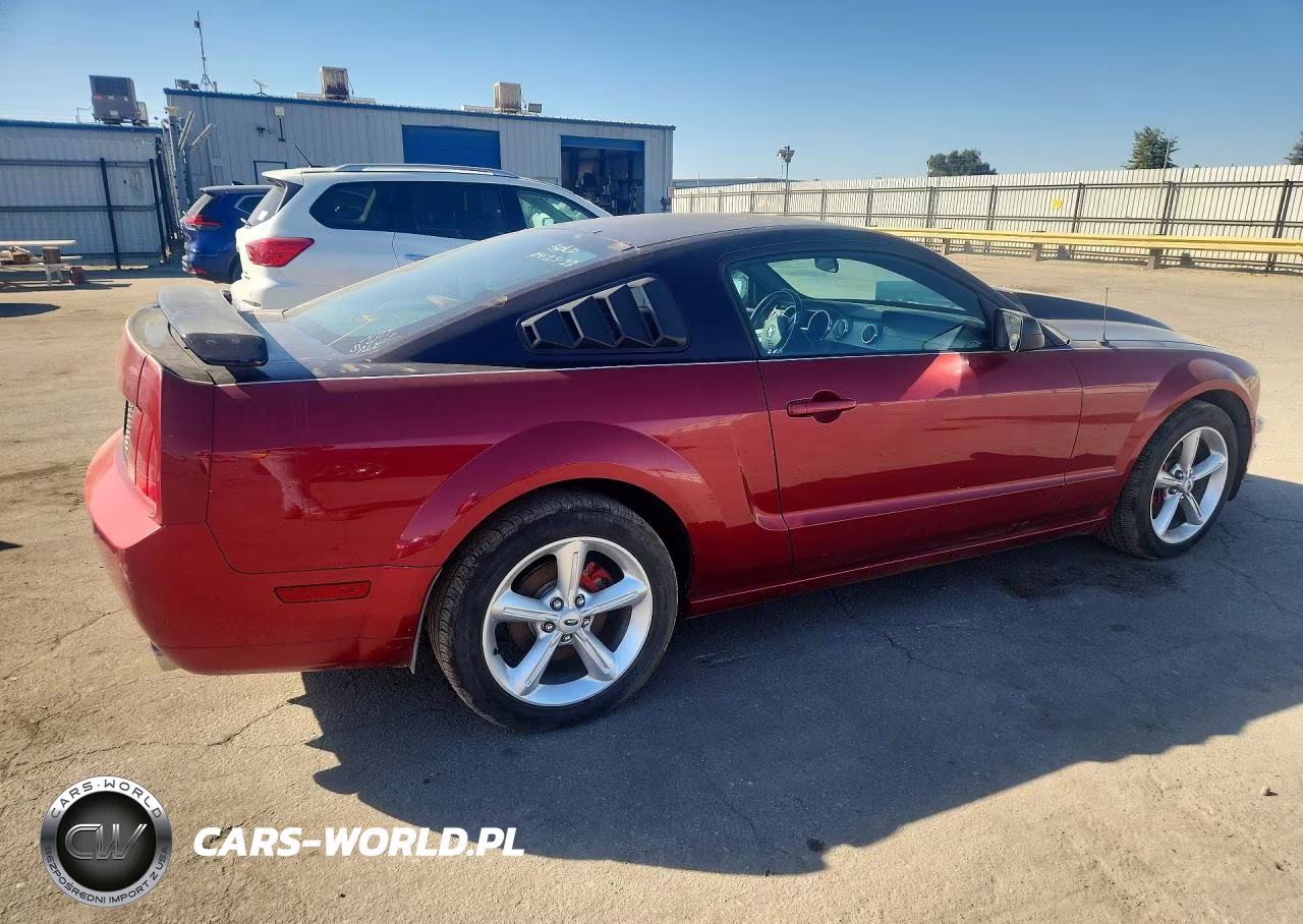 2005 Ford Mustang Gt VIN:1ZVFT82H455131975 - 3