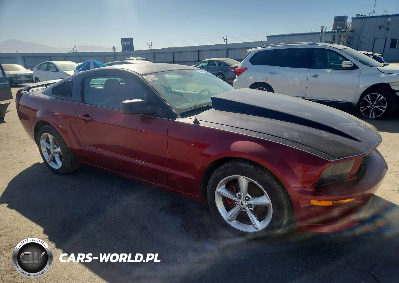 2005 Ford Mustang Gt VIN:1ZVFT82H455131975 - 4
