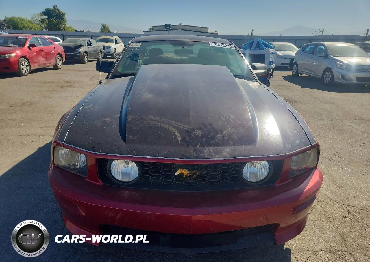 2005 Ford Mustang Gt VIN:1ZVFT82H455131975 - 5