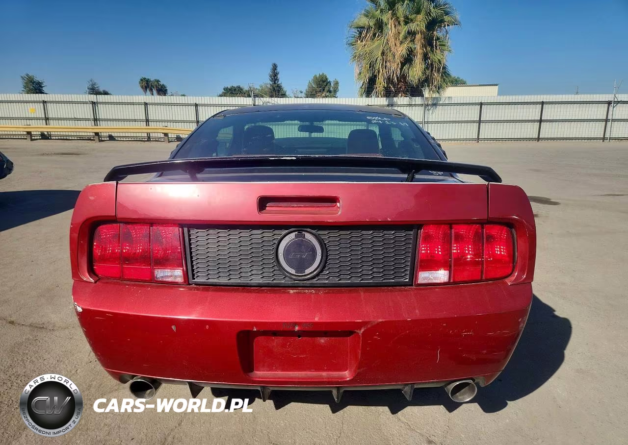 2005 Ford Mustang Gt VIN:1ZVFT82H455131975 - 6