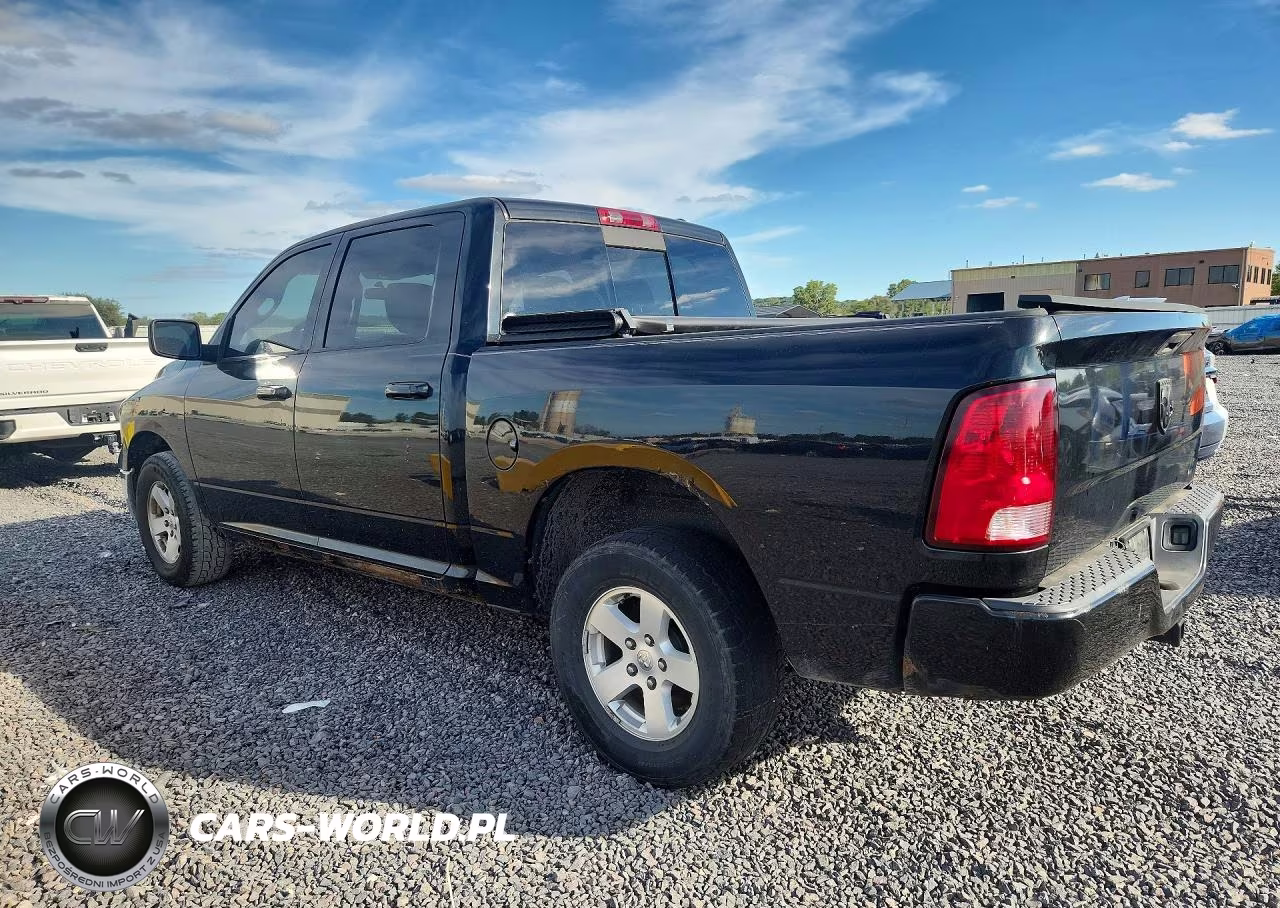 2010 Dodge Ram 1500 VIN:1D7RB1CP8AS132452 - 2