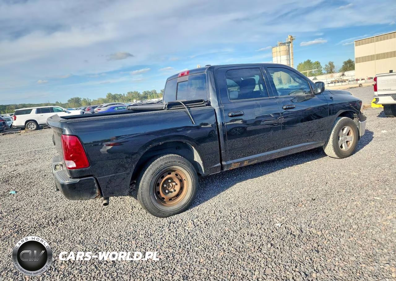2010 Dodge Ram 1500 VIN:1D7RB1CP8AS132452 - 3
