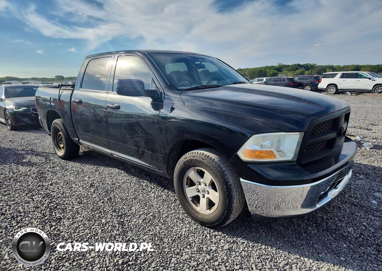 2010 Dodge Ram 1500 VIN:1D7RB1CP8AS132452 - 4