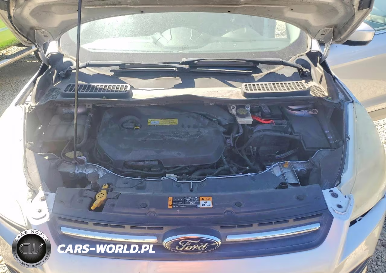 2014 Ford Escape Se VIN:1FMCU0GX0EUA94414 - 12