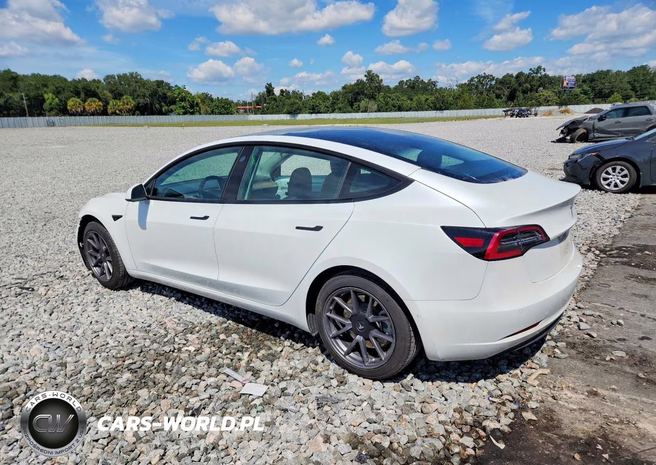 2021 Tesla Model 3 VIN:5YJ3E1EA0MF859876 - 2