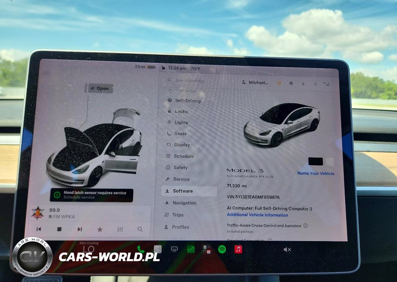 2021 Tesla Model 3 VIN:5YJ3E1EA0MF859876 - 9